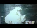 Classic Sesame Street Episode 132 Scene 15 Very Short Clip Only