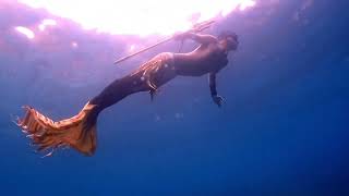 All the fishes come to welcome the king of Ocean return home