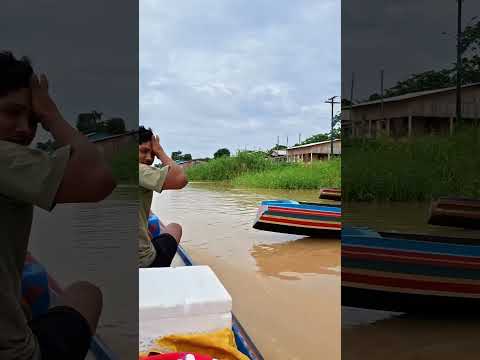 viajando no rio juruá, e chegando no porto de guajará Amazonas