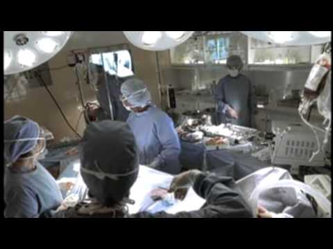 Holiday Inn Express Surgeon