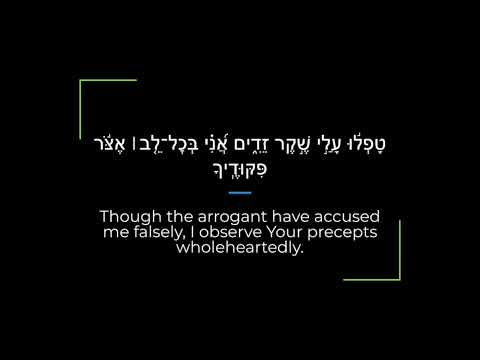 Psalm 119 Zabur/Tehillim Sephardi Hebrew Canting/Recitation with English