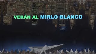 SHINOVA - Mirlo Blanco (Lyric Video)