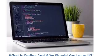 What Is Coding And Why Should You Learn It Now?