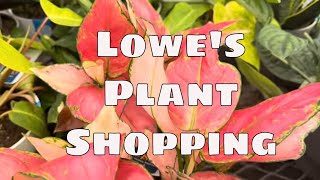 🌿 Lowe’s Garden Center Houseplant Shopping Tour | Affordable Plants, Garden Finds & Plant Care Tips