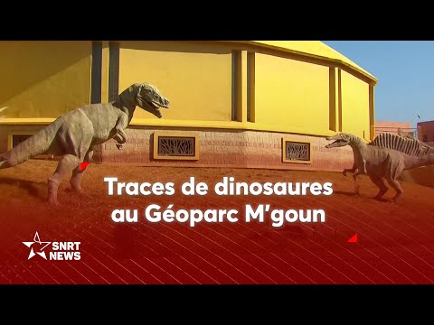 M'Goun Geopark... Meeting the Jurassic Park