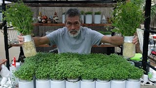 You Won't Believe What I Did (and You Can Too) GROW FOOD FAST