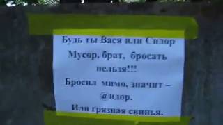 Пруд чистый рыбалка