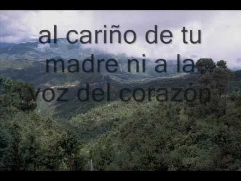 cancion de los andes- paulina tamayo