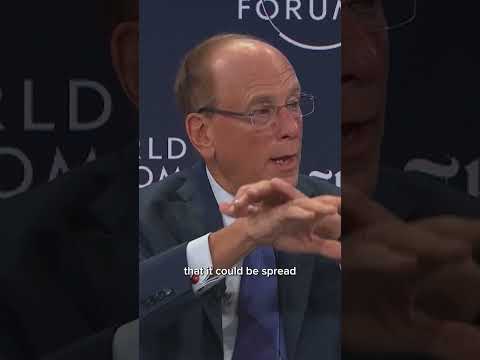 Larry Fink: AI spend is favoring big players