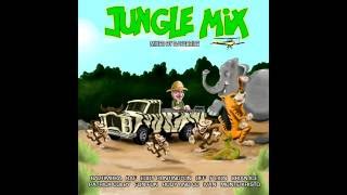 DJ Fabrice   Jungle Mix