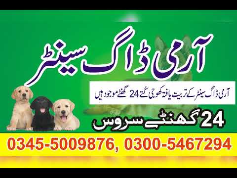 Army dog centre RAWALPINDI Taxila Attock Fateh jang Jand Tala gang Chakwal