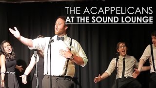 We Put the Spring in Springfield - The Acappelicans AT THE SOUND LOUNGE (The Simpsons cover)