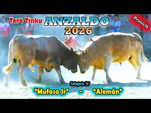 Toro Tinku de ANZALDO 2026 T5A "Alemán-Mufasa Jr". (Video Oficial) de ALPRO BO