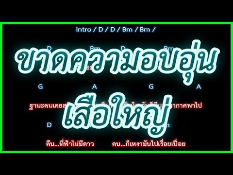 🎸คอร์ดเพลง🎸ขาดความอบอุ่น - เสือใหญ่
