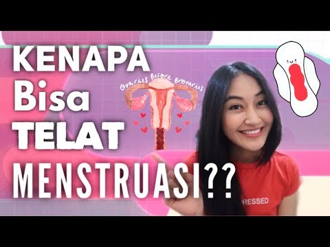 download lagu mp3 mp4 Cara Cepat Haid Terlambat, download lagu Cara Cepat Haid Terlambat gratis, unduh video klip Cara Cepat Haid Terlambat