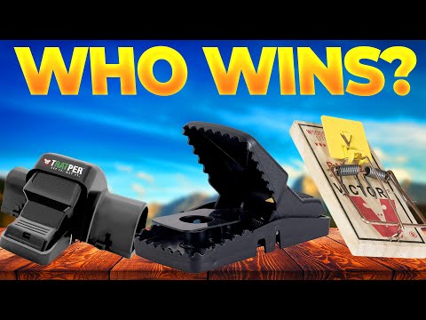 Best Mouse Trap 2025 [Watch This Before You Make a Choice!]
