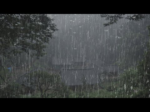 Listen for 2 Minutes - You will Fall Asleep and Relax with the Rain Sound in the Foggy Forest - ASMR