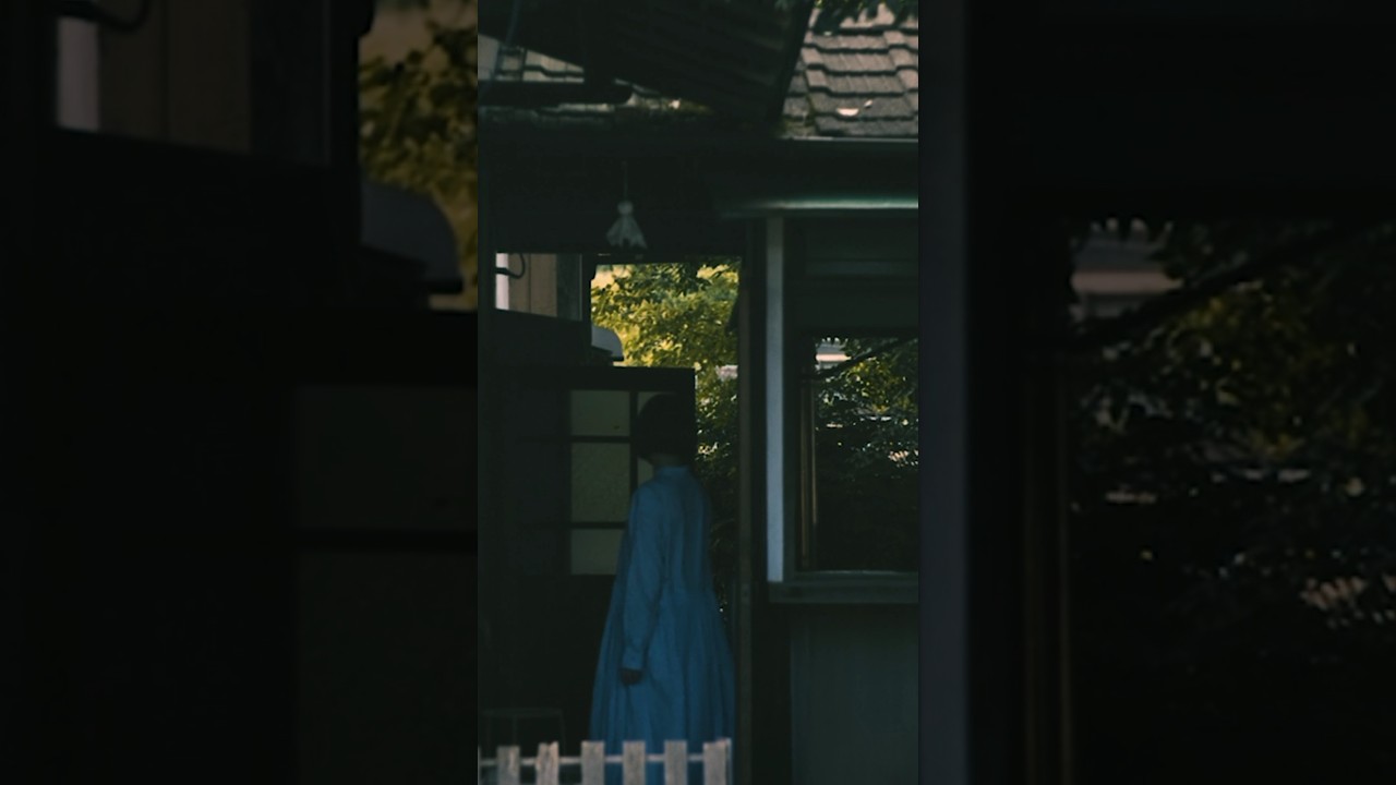 【夏の古民家🎥】から部屋 / #猫田ねたこ