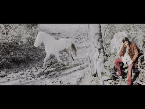 BLACK HOG GUT (excerpt)