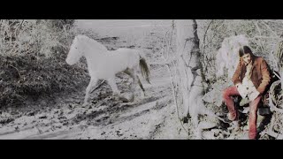 BLACK HOG GUT (excerpt)