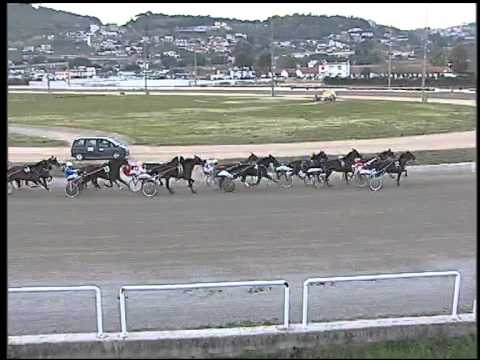 Trotto 19/02/2015 - 6° corsa