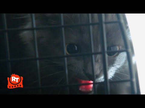 マジシャンズ』愛らしい子猫が血まみれの霧の中で大爆発（S3E2）｜Movieclips（ムービークリップス (The Magicians - Adorable Kitten EXPLODES Into Bloody Mist (S3E2) | Movieclips)