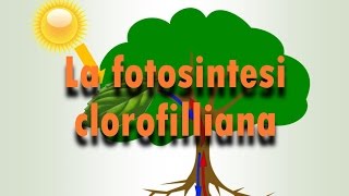 LA FOTOSINTESI CLOROFILLIANA