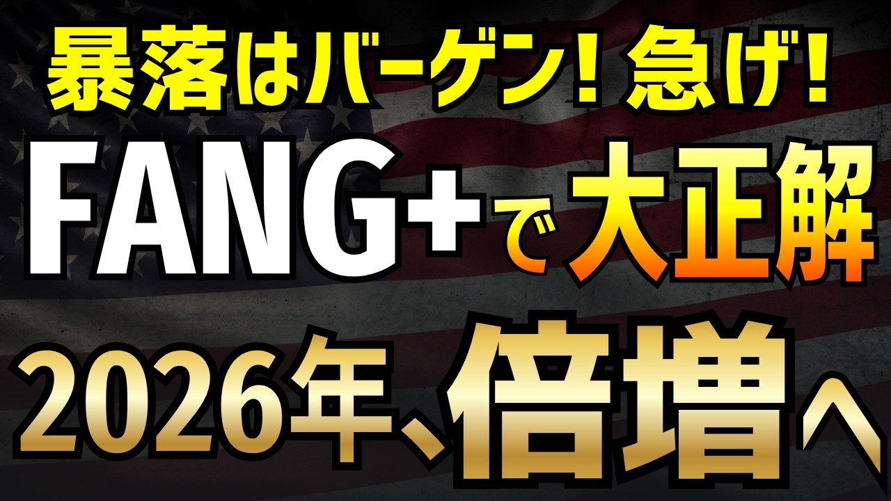 【FANG+投資家は必ず見てください】プロが絶対に手放さない理由と最強の自動調整システムを徹底解説