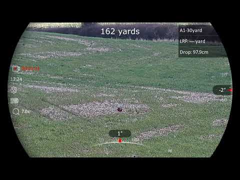 Hikmicro Alpex 4K lrf testing ballistics at distances