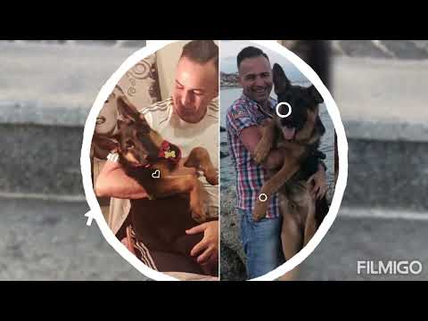 Dieci anni di Noi♡♡♡