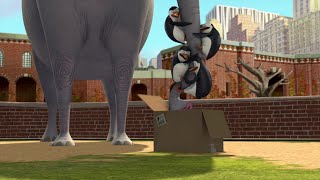The Penguins of Madagascar - Burt knocked out