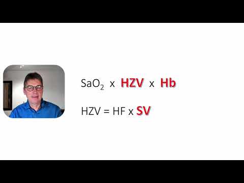 Intensivmedizin Basics Schock Teil 1