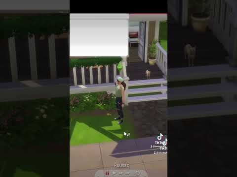 How to cheat sims skill levels in The Sims 4 #sims4 #thesims4