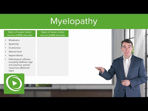 Myelopathy: Disorder of the Spinal cord | Clinical Neurology