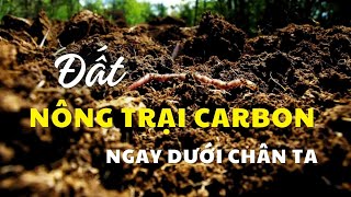 Nông nghiệp carbon (Phần 1) || Giải pháp khí hậu ngay dưới chân chúng ta