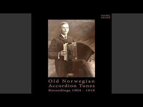 Norsk Rheinländer (1904)