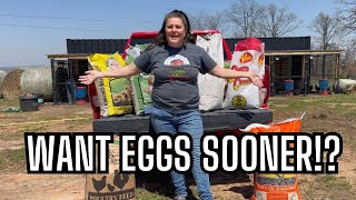 What To Feed Chickens to Lay Eggs Sooner | From Hatch to Hen, A Feeding Plan That Works
