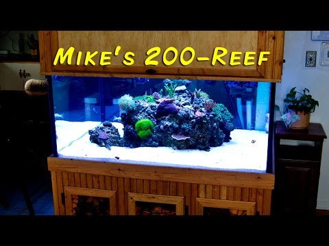 download lagu mp3 mp4 Mike Crawford Glass, download lagu Mike Crawford Glass gratis, unduh video klip Mike Crawford Glass