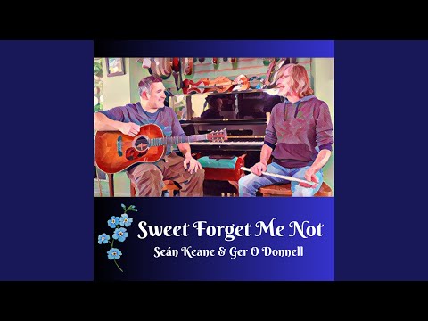 Sweet Forget Me Not