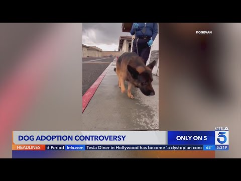 L.A. County dog adoption controversy goes viral