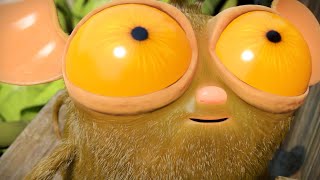 O mistério da caverna amarela | Turma da Floresta | 95' Compilação | Desenhos Animados para Crianças