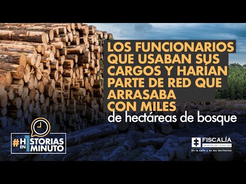 Los funcionarios que usaban sus cargos y harían parte de red que arrasaba con hectáreas de bosque