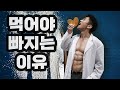 먹어야 살 빠지는 이유