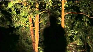 Nick Cave & The Bad Seeds   Helpless Español