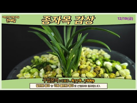 유튜브 썸네일