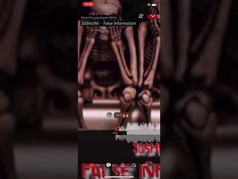 30ShotNi - False Information