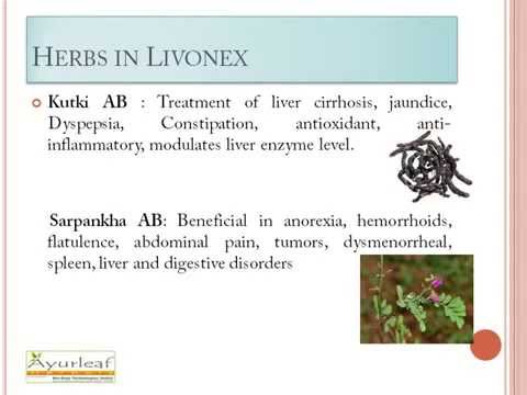 Ayurvedic liver care capsule, for personal, packaging size: ...