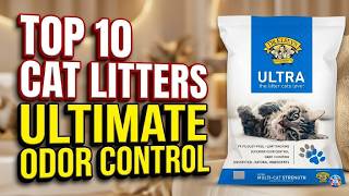 Best 10 Cat Litters in 2026