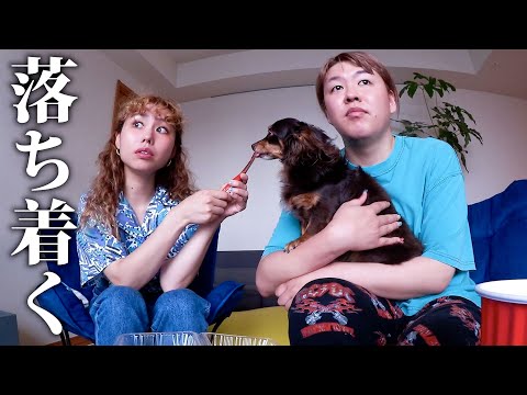 【peco&ぺえ】優しい母親と引きこもり歴30年の息子