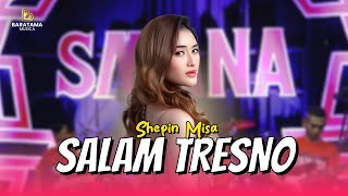 Download lagu SHEPIN MISA - SALAM TRESNO Tresno ra bakal ilyang mp3